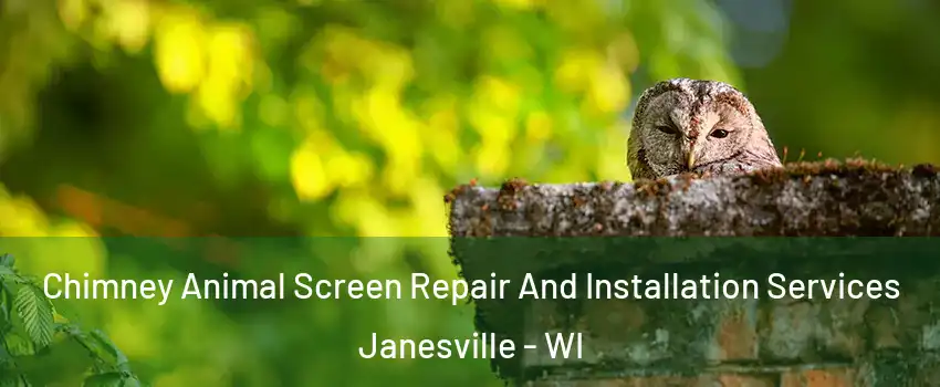  Chimney Animal Screen Repair And Installation Services Janesville - WI