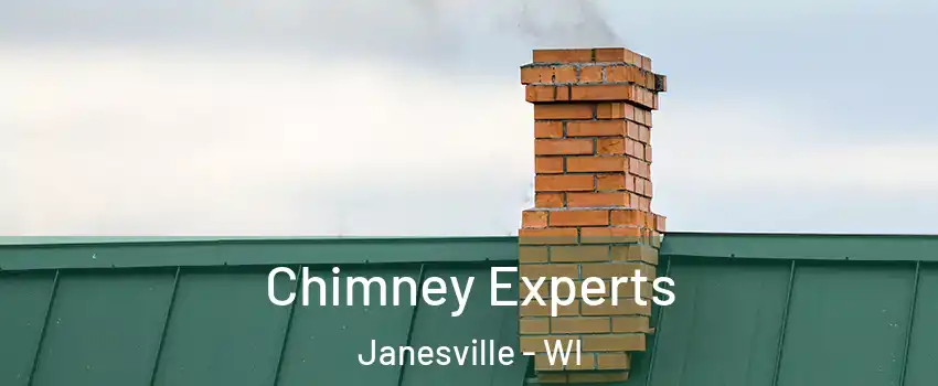 Chimney Experts Janesville - WI