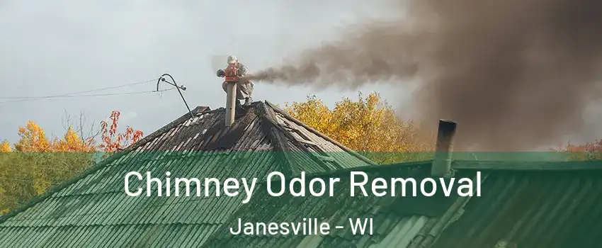  Chimney Odor Removal Janesville - WI