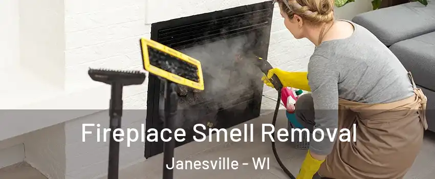  Fireplace Smell Removal Janesville - WI