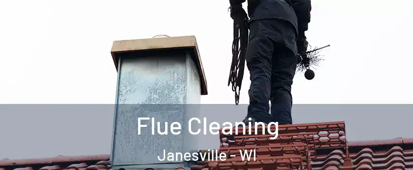  Flue Cleaning Janesville - WI