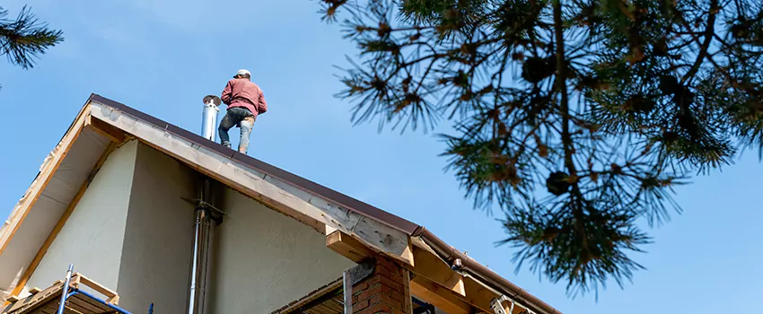 Birds Removal Contractors from Chimney in Janesville, WI