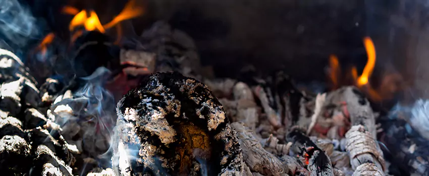 Creosote Removal Experts in Janesville, WI