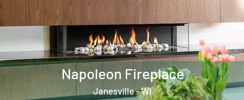  Napoleon Fireplace Janesville - WI