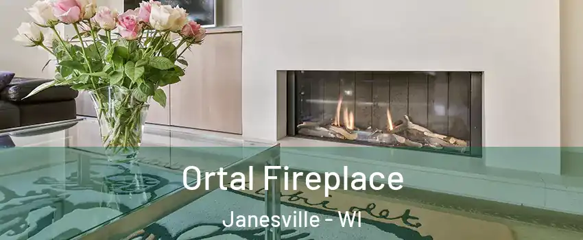 Ortal Fireplace Janesville - WI